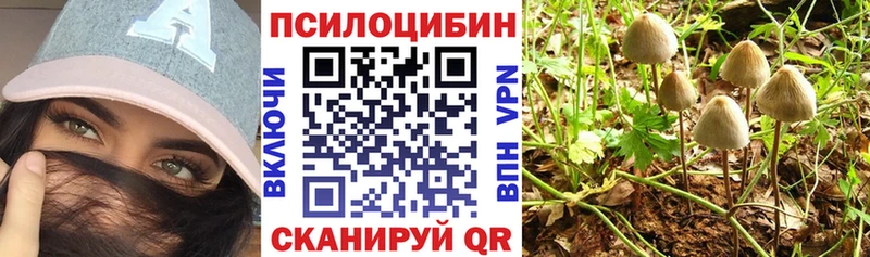 Галлюциногенные грибы Psilocybe дарк нет состав Нижняя Салда mega ССЫЛКА